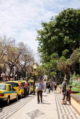 Central Funchal Apartment - Garden - Free Parking & Ac المظهر الخارجي الصورة