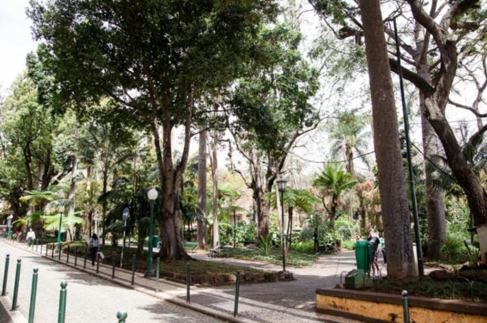 Central Funchal Apartment - Garden - Free Parking & Ac المظهر الخارجي الصورة