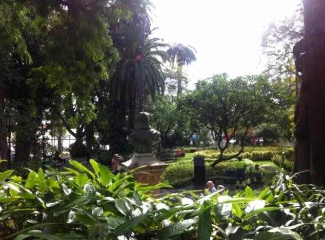 Central Funchal Apartment - Garden - Free Parking & Ac المظهر الخارجي الصورة