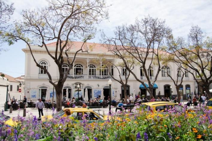 Central Funchal Apartment - Garden - Free Parking & Ac المظهر الخارجي الصورة